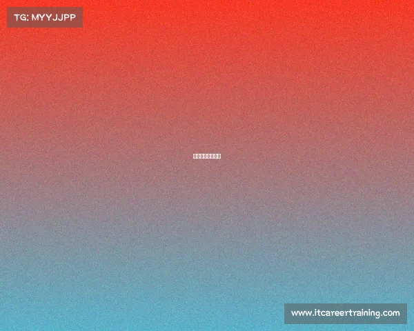 世界上最长的赛跑