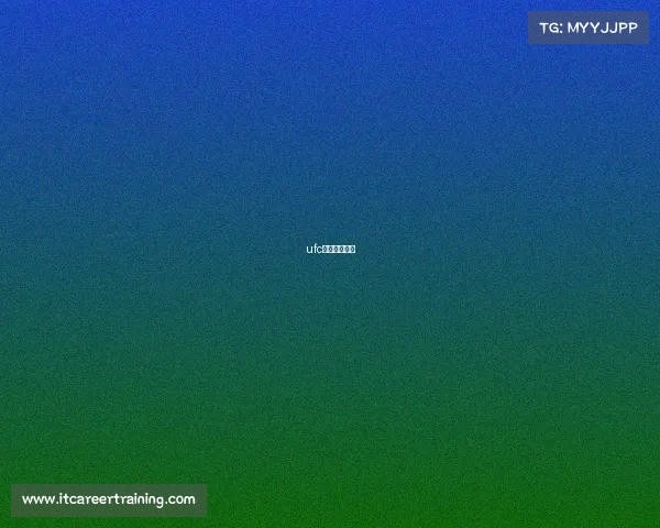 ufc一场比赛奖金